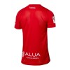 Original Fußballtrikot RCD Mallorca Special 2023-24 Für Herren